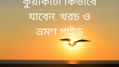 কুয়াকাটা কিভাবে যাবেন, খরচ ও ভ্রমণ গাইড